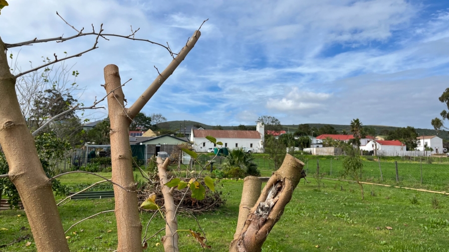 3 Bedroom Property for Sale in Herbertsdale Western Cape